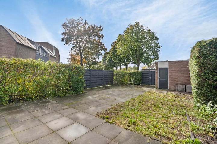 Photo 28 of Fossielenerf 206