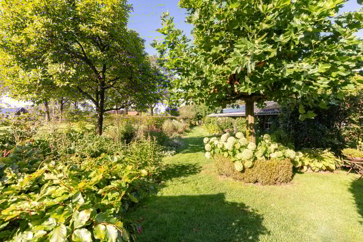 Foto 49 van Appelsestraat 7