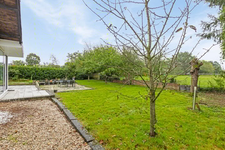 Photo 51 of Prickart 32