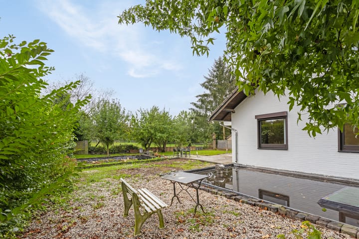 Photo 53 of Prickart 32