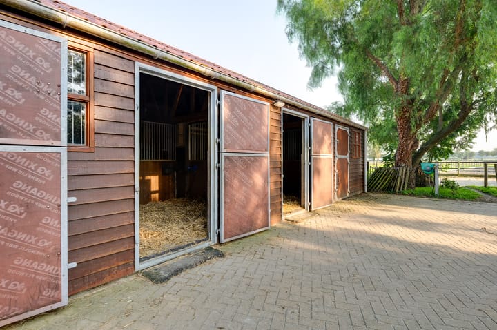 Foto 110 van Varkensdijk 1