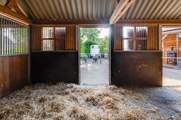 Foto 112 van Varkensdijk 1