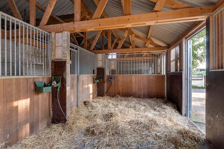 Foto 113 van Varkensdijk 1