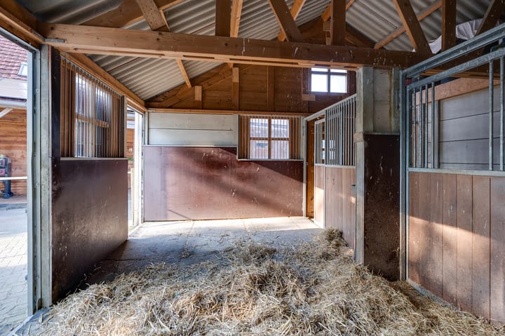 Foto 114 van Varkensdijk 1