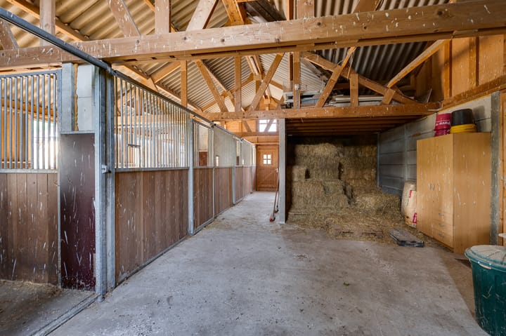 Foto 116 van Varkensdijk 1