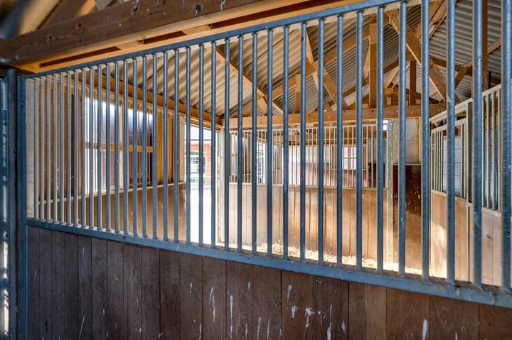 Foto 117 van Varkensdijk 1