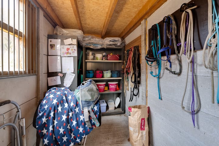 Foto 118 van Varkensdijk 1