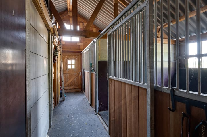 Foto 131 van Varkensdijk 1