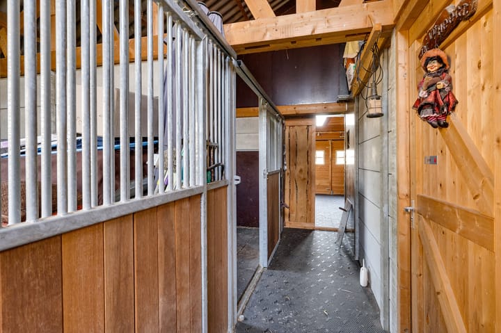 Foto 132 van Varkensdijk 1