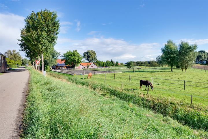 View photo 144 of Varkensdijk 1