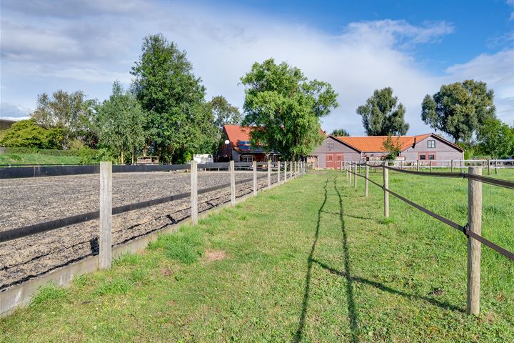 View photo 145 of Varkensdijk 1