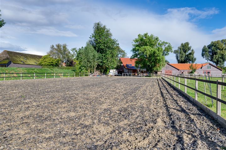 Bekijk foto 146 van Varkensdijk 1