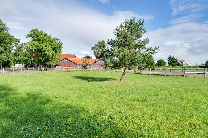 View photo 148 of Varkensdijk 1