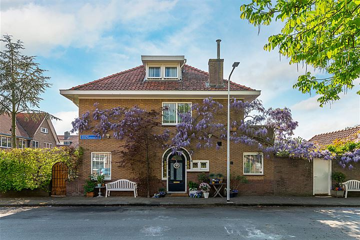 Bekijk foto 4 van Koningin Anna Paulownastraat 13