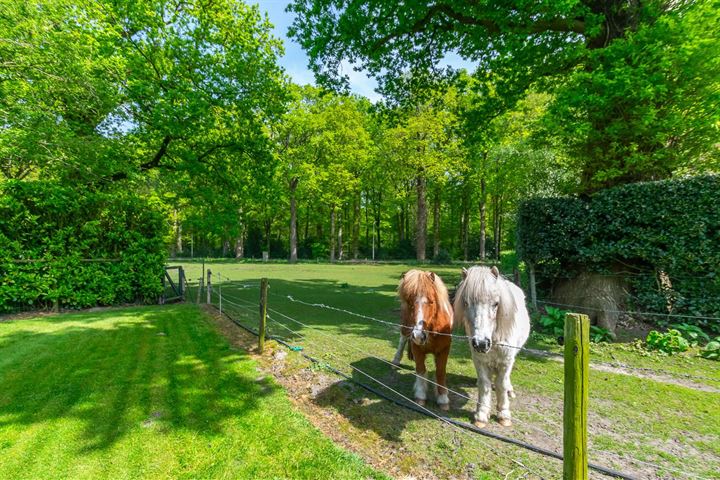 Bekijk foto 46 van Hagenakkers 27