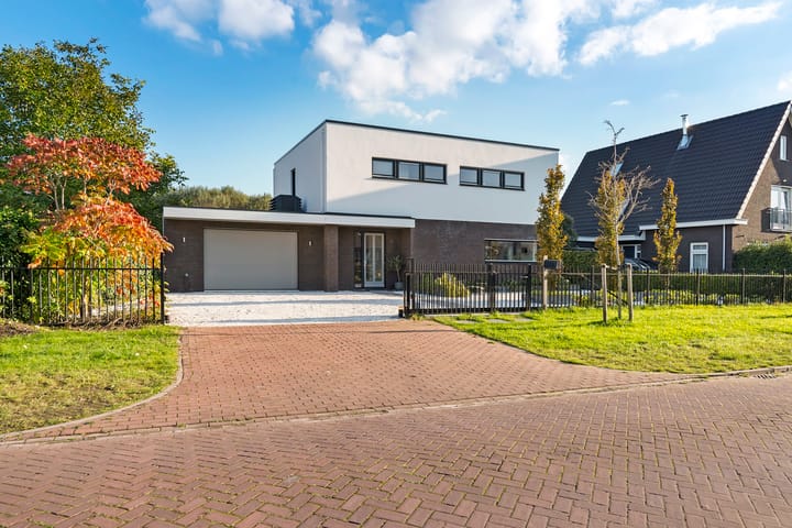 undefined main image