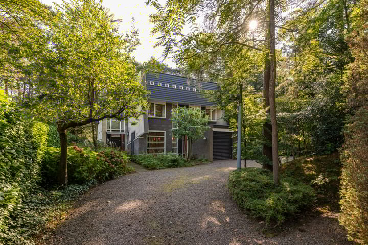 Foto 2 van Gerard Doulaan 18