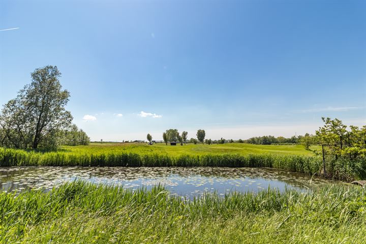 Bekijk foto 10 van Vijverlaan 62