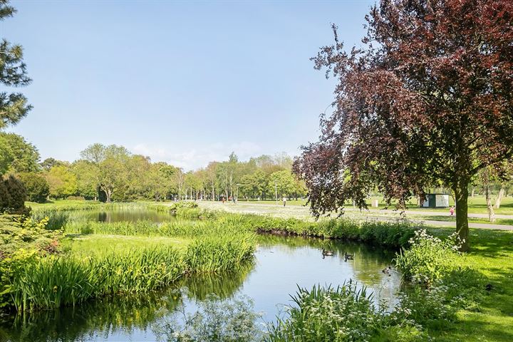 Bekijk foto 29 van Soestdijksekade 723