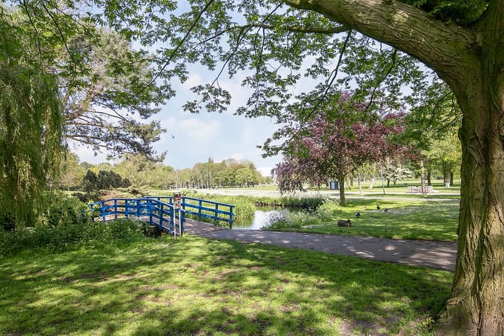 Foto 30 van Soestdijksekade 723