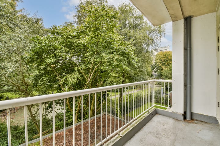 Foto 9 van Wedderborg 60