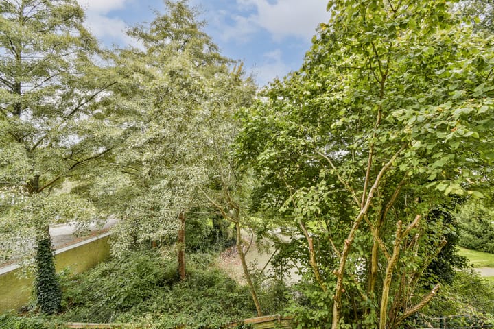 Foto 10 van Wedderborg 60