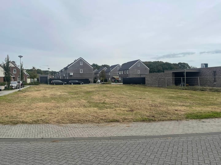 Foto 4 van Elzenlaan/Platanenlaan