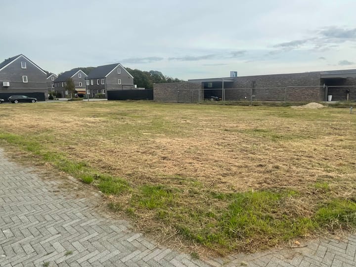 Foto 3 van Elzenlaan/Platanenlaan