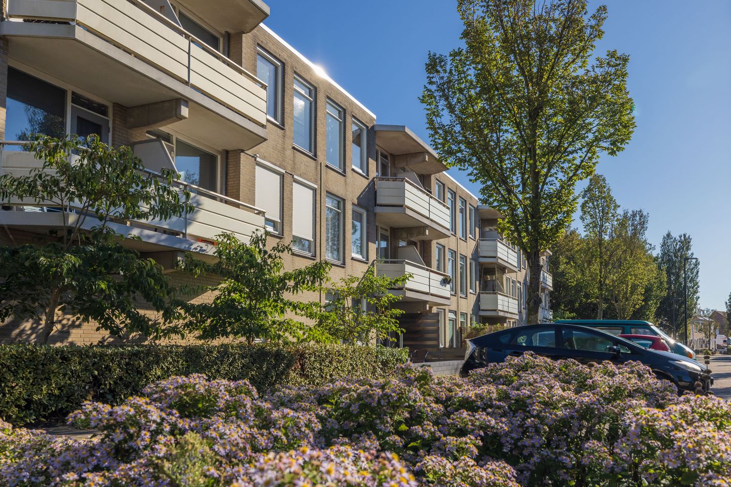 Foto 1 van Springtij 19