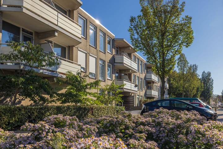 Foto 1 van Springtij 19