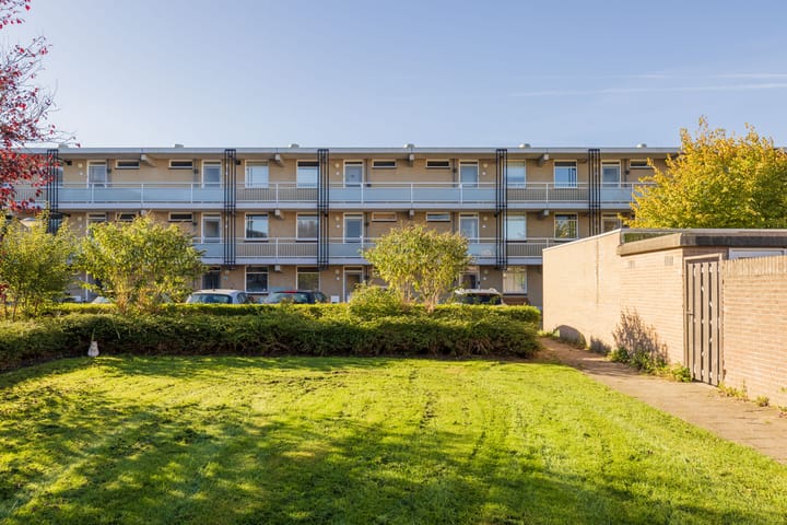 Foto 4 van Springtij 19