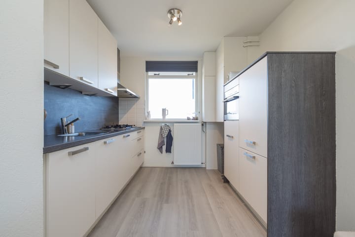 Foto 10 van Springtij 19