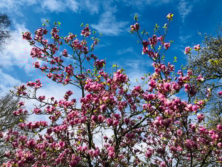 Foto 43 van Deventerweg 72