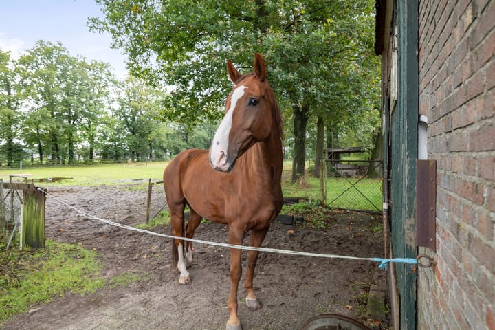 Foto 48 van Deventerweg 72