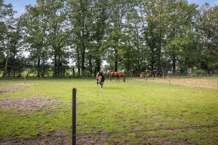 Foto 49 van Deventerweg 72