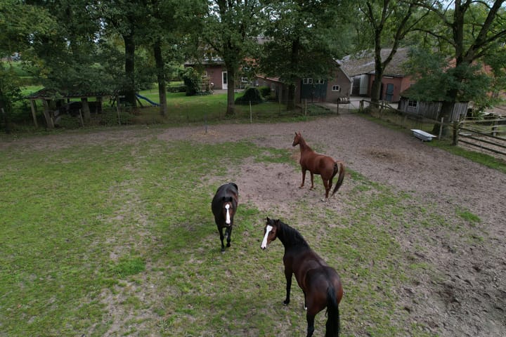 Foto 60 van Deventerweg 72