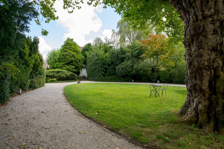 Foto 7 van Hoge Rijndijk 320