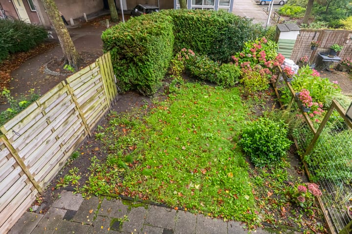 Foto 5 van Offenbach 14