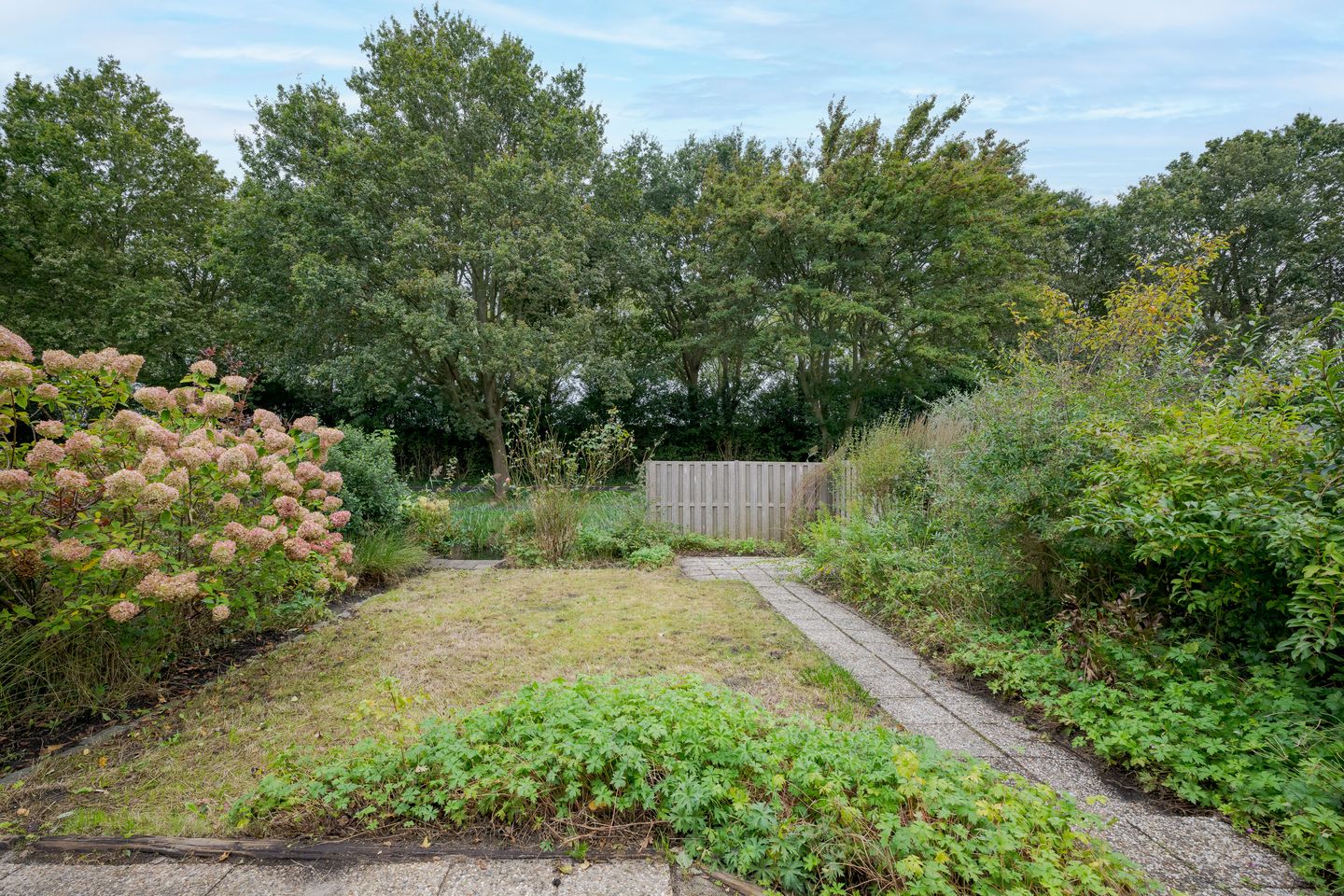 Foto 49 van Burgemeester van Outerenstraat 13