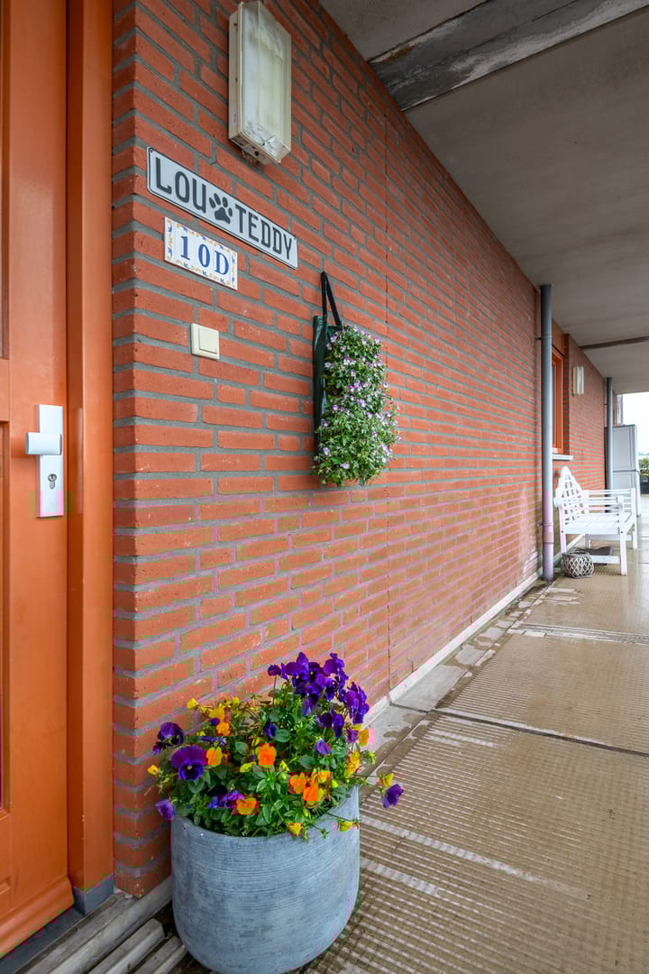 Foto 2 van Carboonplein 10-D