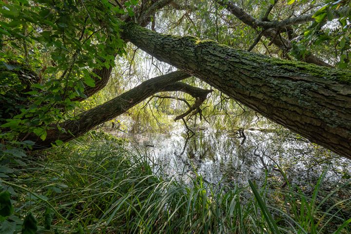 Bekijk foto 17 van Kleizuwe 8