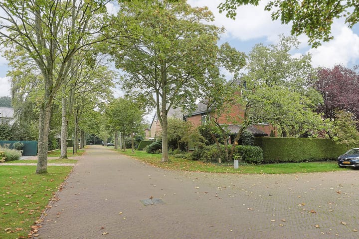 Foto 52 van De Spanring 7