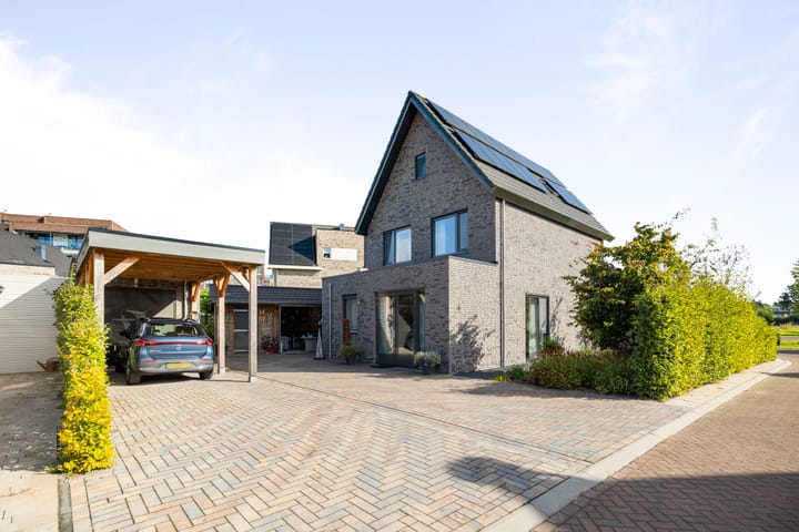 Foto 6 van Glassnijder 1