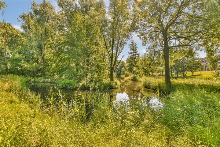 Bekijk foto 18 van IJdoornlaan 1481