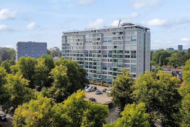 Foto 1 van Loolaan 41-163