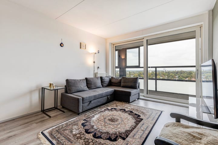 Foto 2 van Loolaan 41-163