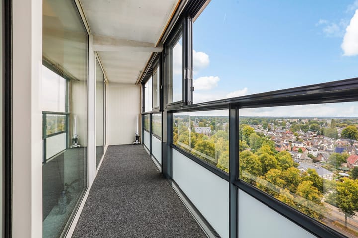 Foto 3 van Loolaan 41-163