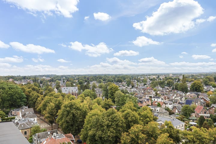 Foto 4 van Loolaan 41-163