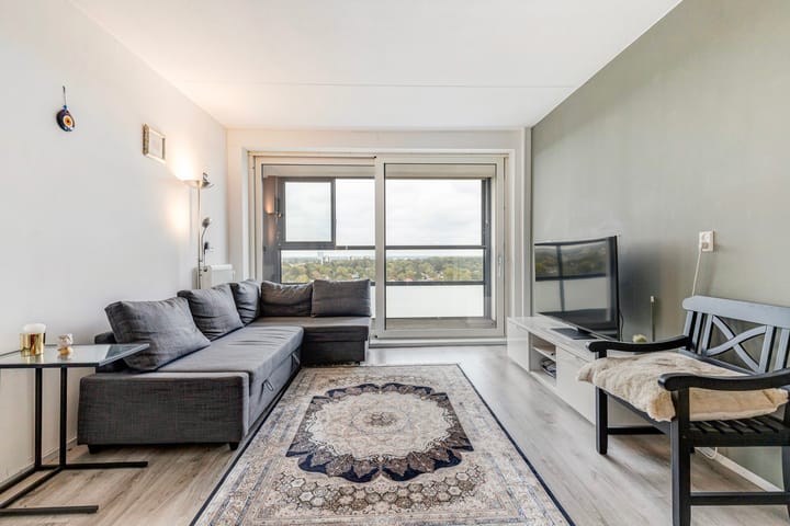 Foto 5 van Loolaan 41-163