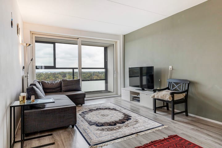 Foto 6 van Loolaan 41-163